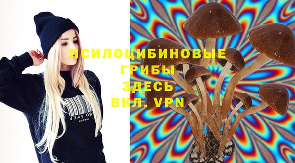 дурь Новокубанск