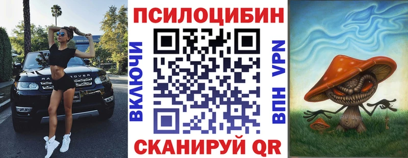 продажа наркотиков  Александров  Псилоцибиновые грибы MAGIC MUSHROOMS 